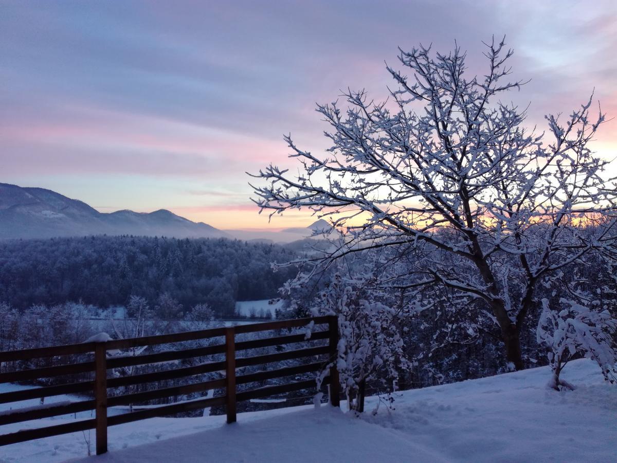 Relax Guest House Marjanca Rogaska Slatina Bagian luar foto