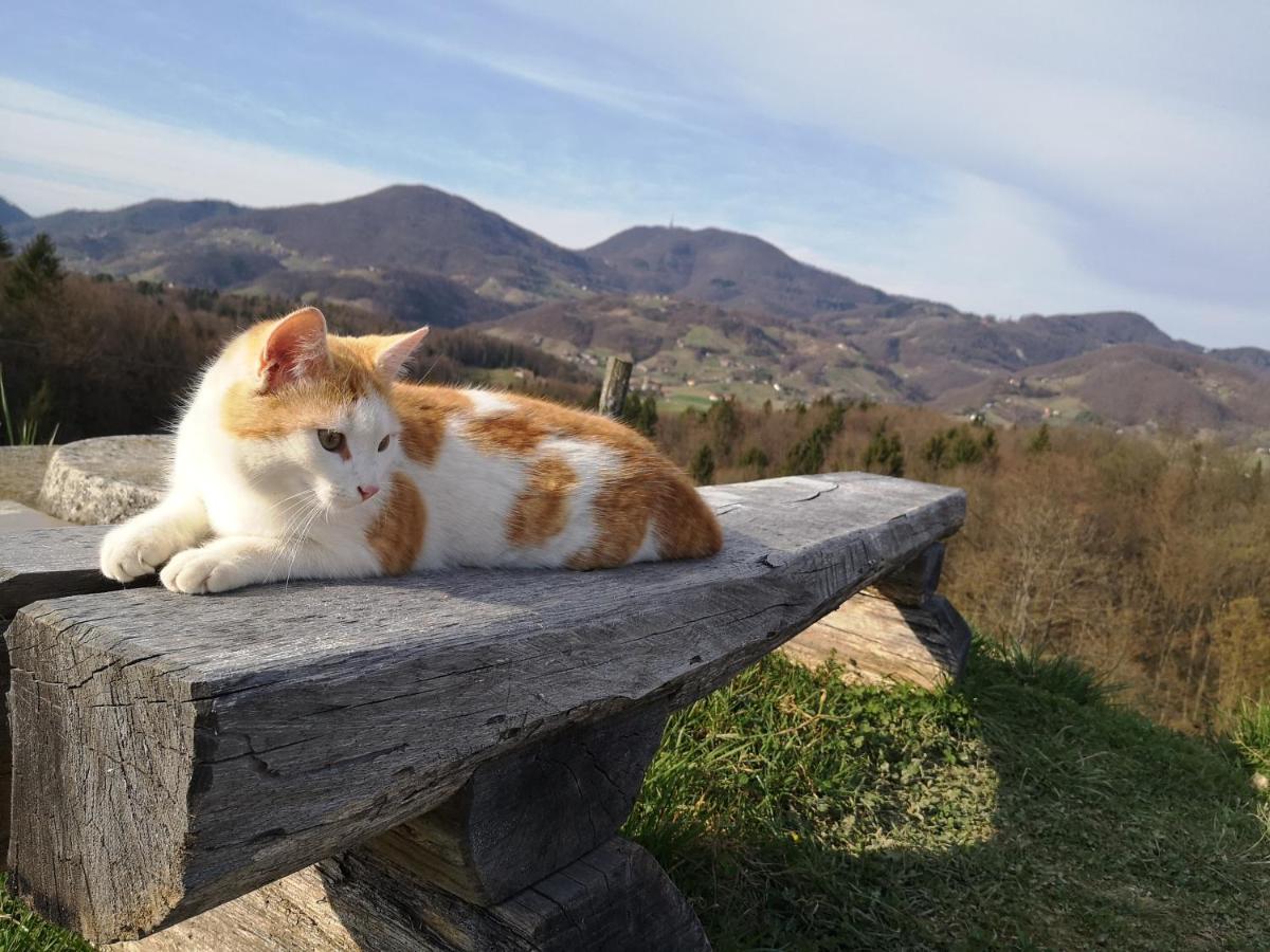Relax Guest House Marjanca Rogaska Slatina Bagian luar foto